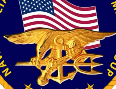 military emblem of the US Special Forces